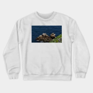 Channel Islands National Park Santa Cruz Island Crewneck Sweatshirt